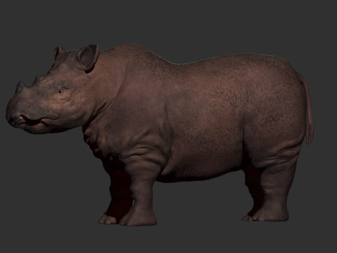RhinoImg08.jpg
