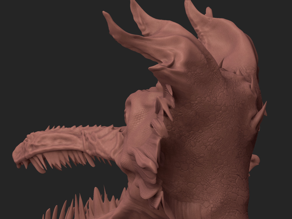 dragon_back.jpg