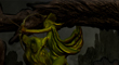 WOLF RIDER 14.jpg