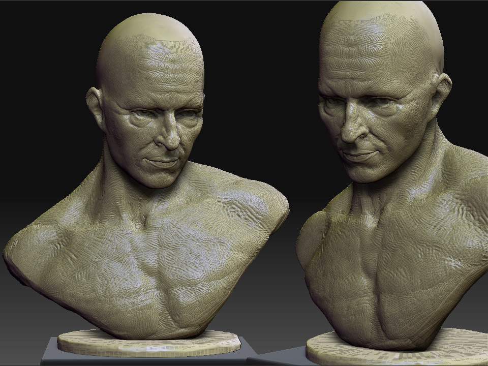 thinker_2views2.jpg