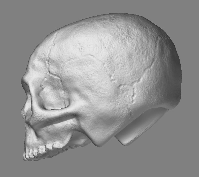 wip2.jpg