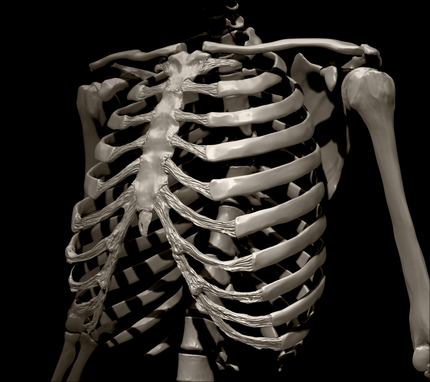 partial_view_04.jpg