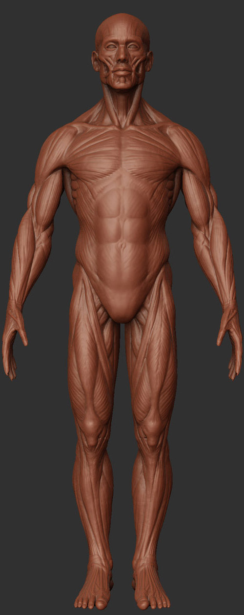 front view.jpg