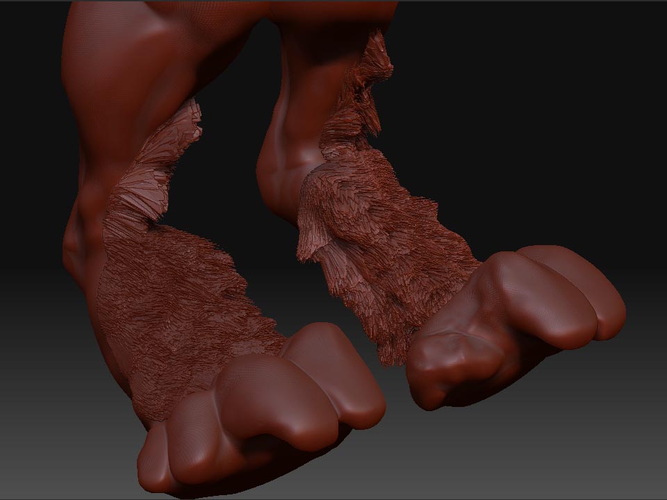 feet.jpg