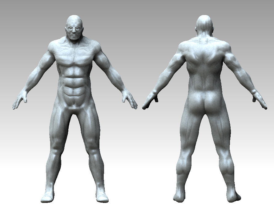 new_model.jpg
