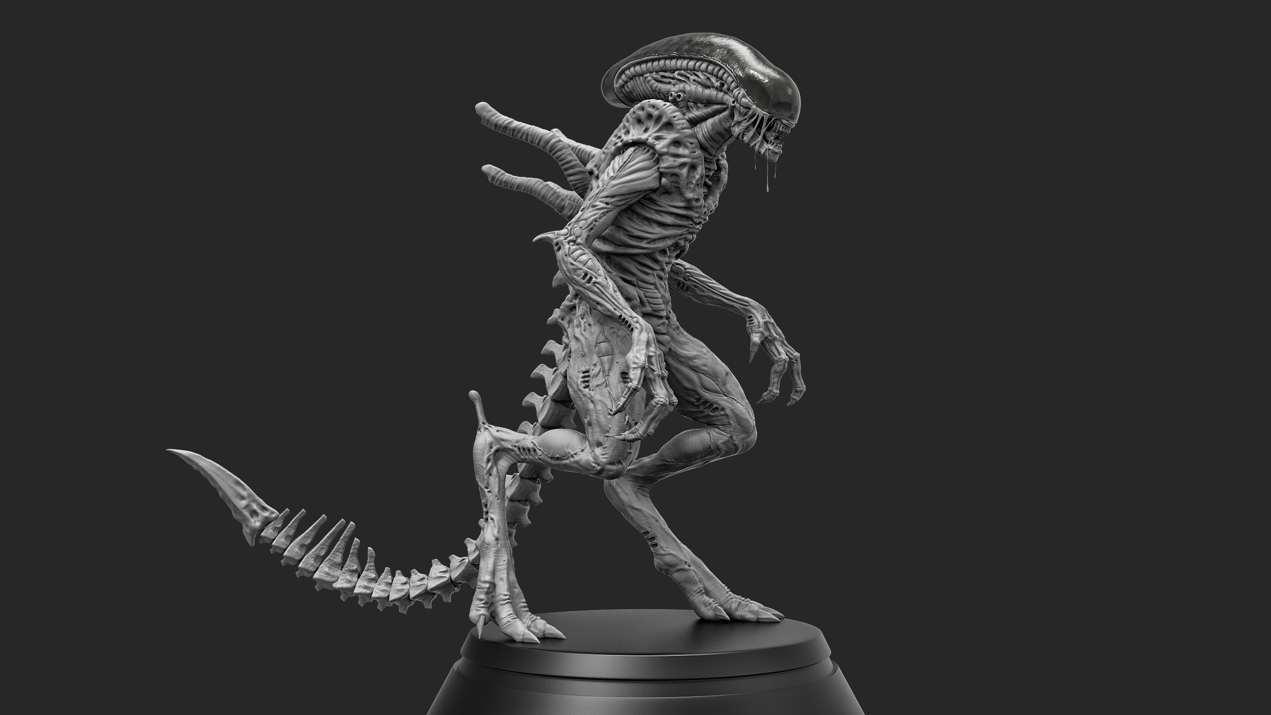 xeno23.jpg