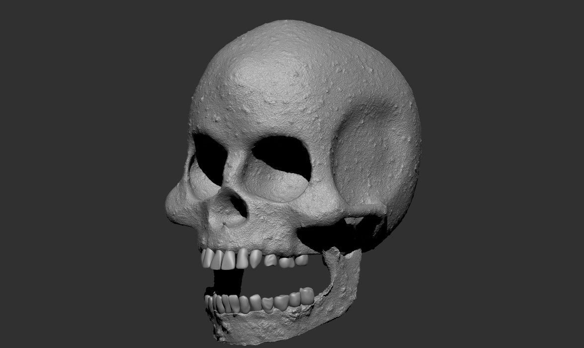 skull%20Zbrush%20