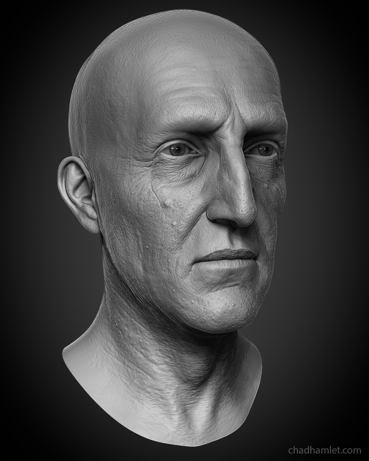 chx-hamlet-chadoldman-03.jpg