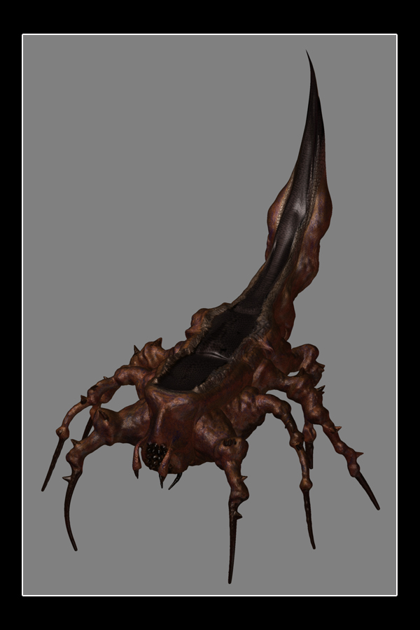 BugPortfolioBig.jpg
