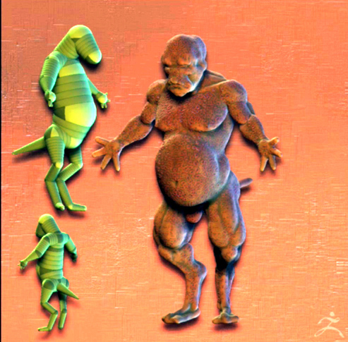 fatguy2.jpg