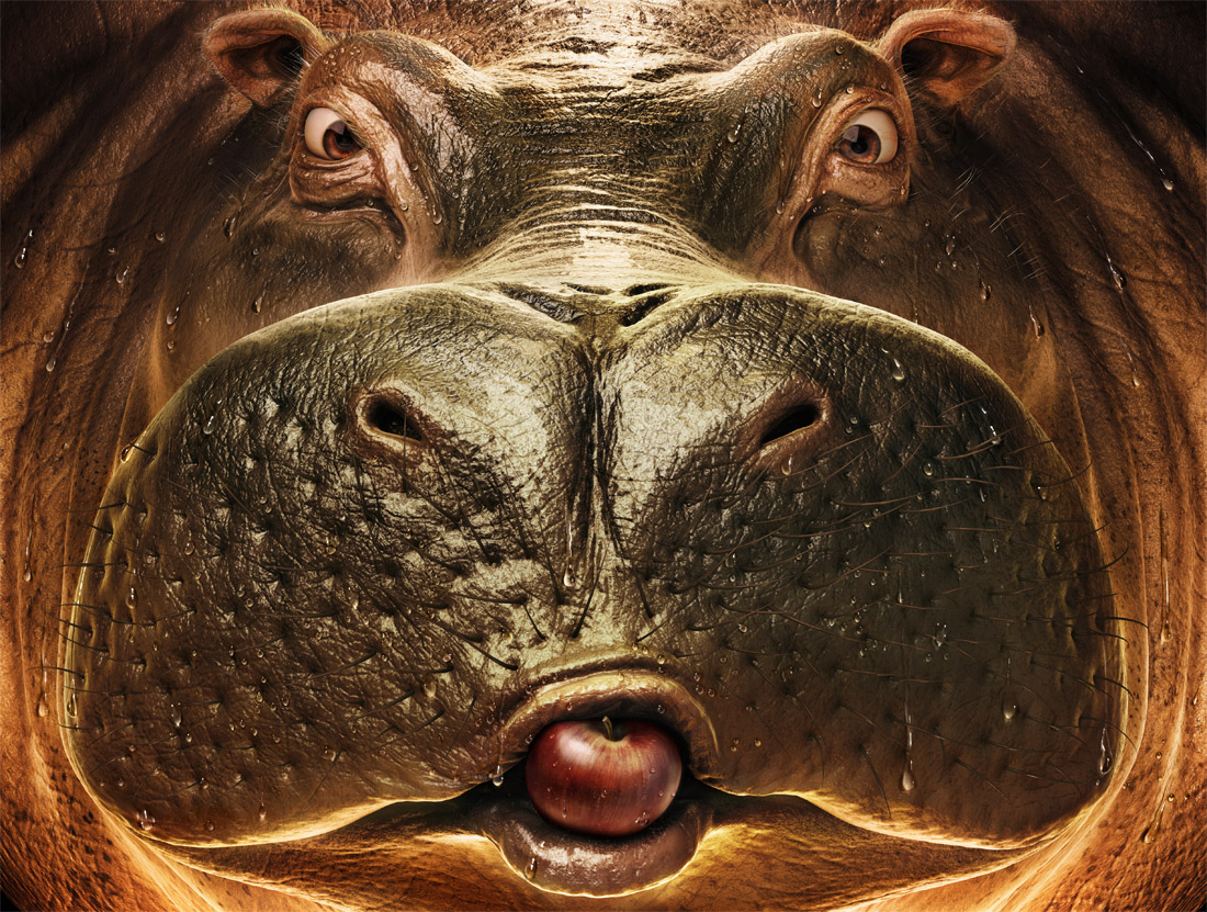 HIPPO MONTAGEM aprovada merged copy.jpg