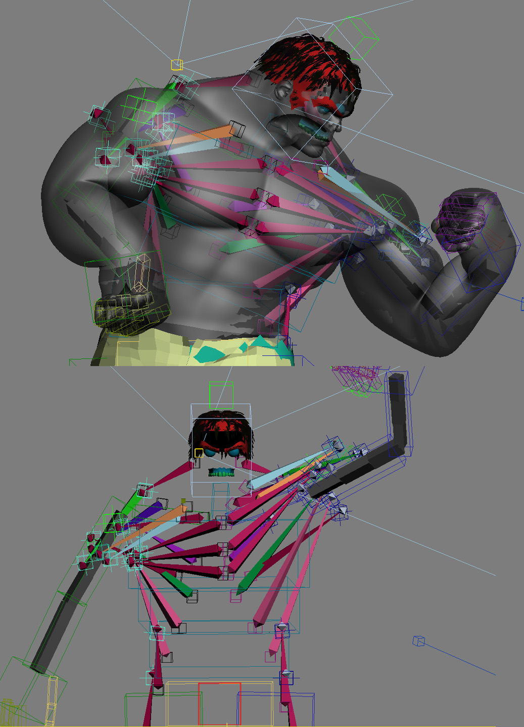 Montage_rig.jpg