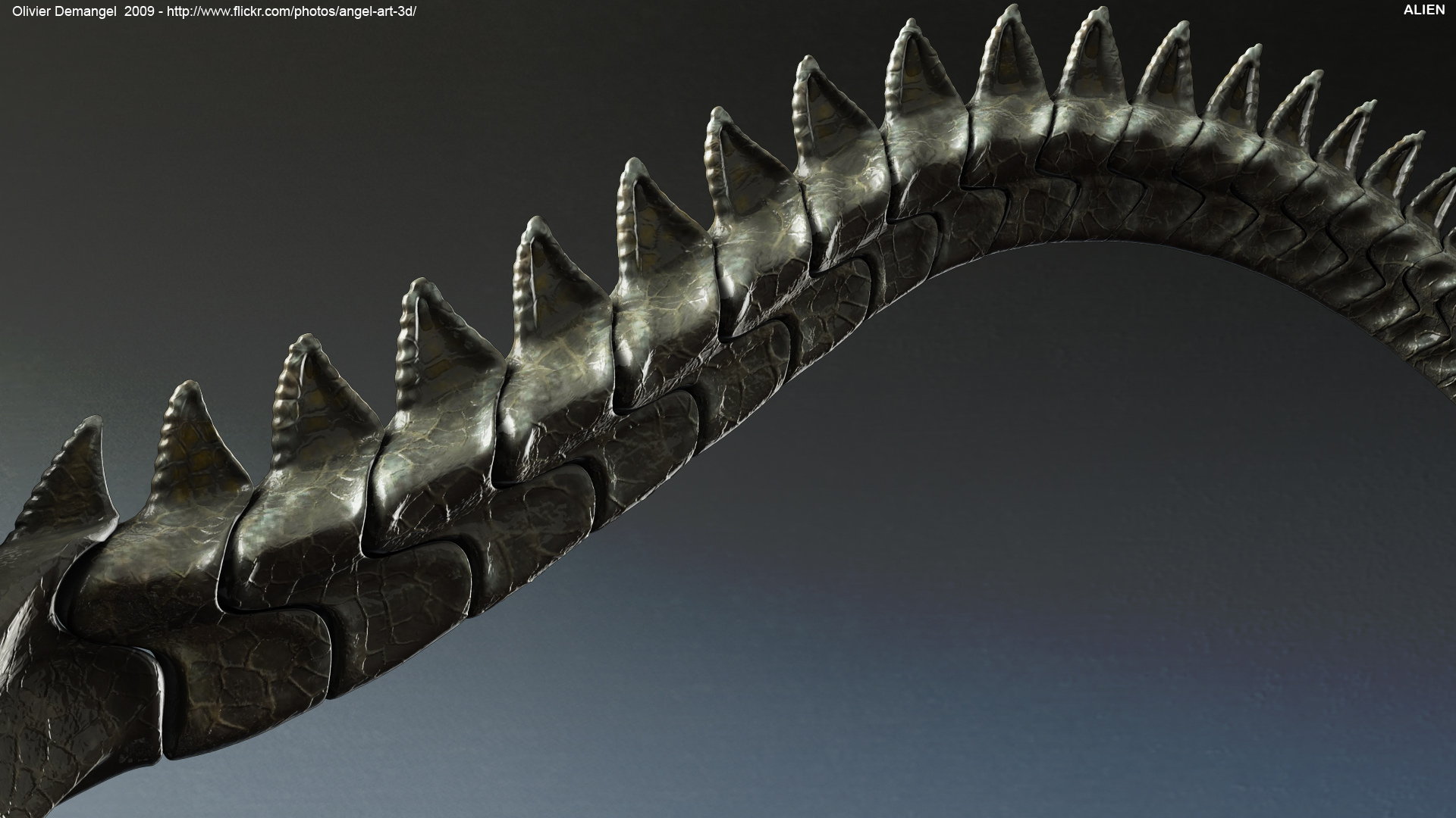 Alien_tail_deci10_l07.jpg