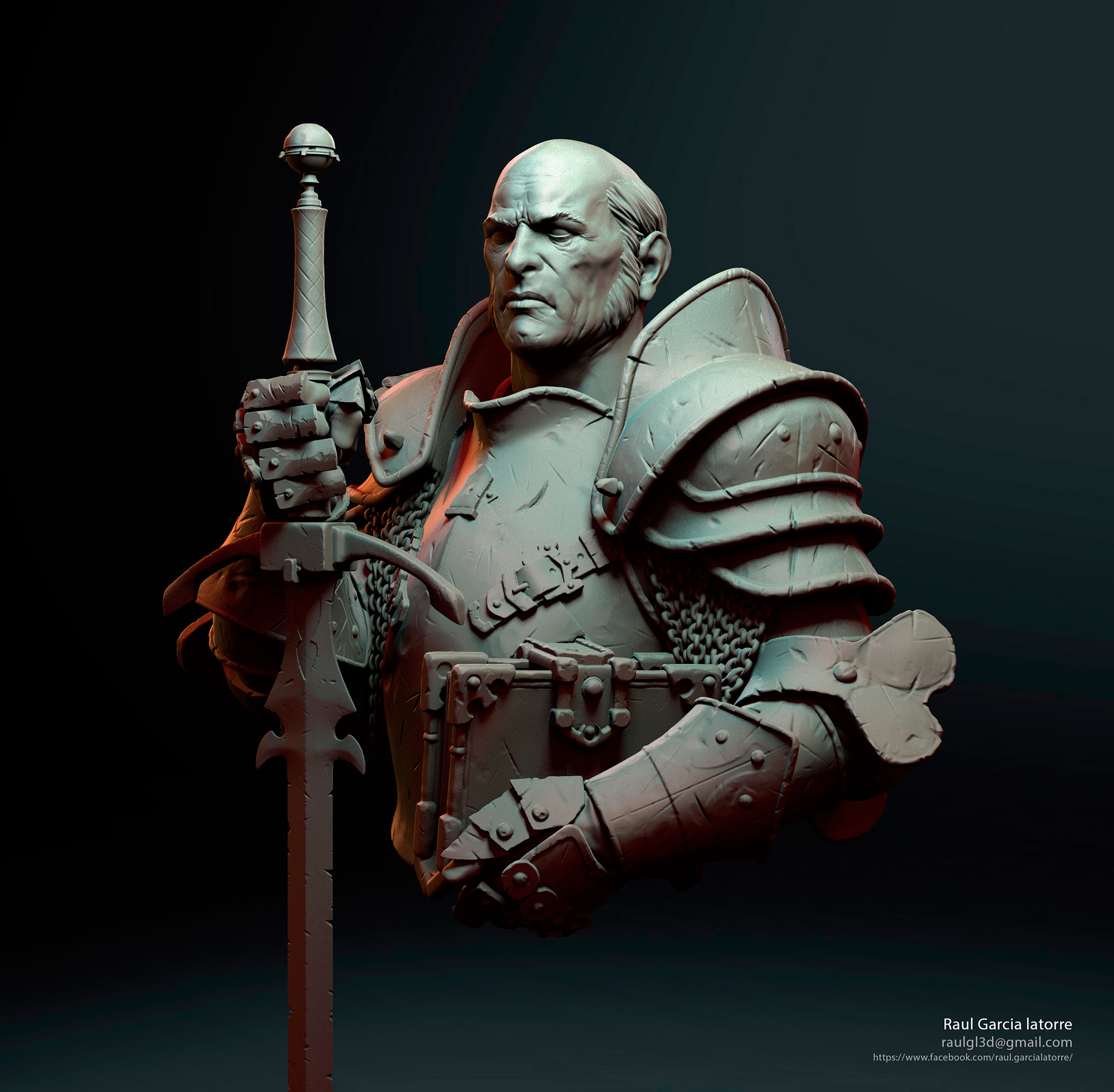 paladin-1b.jpg