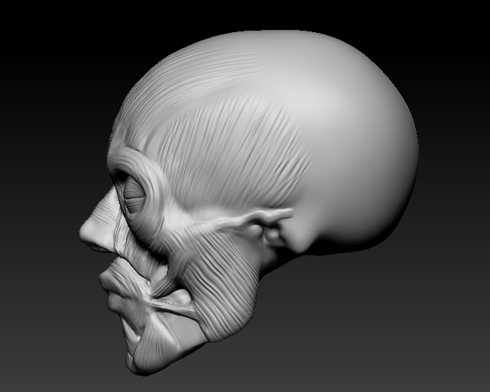 ZBrush Document3
