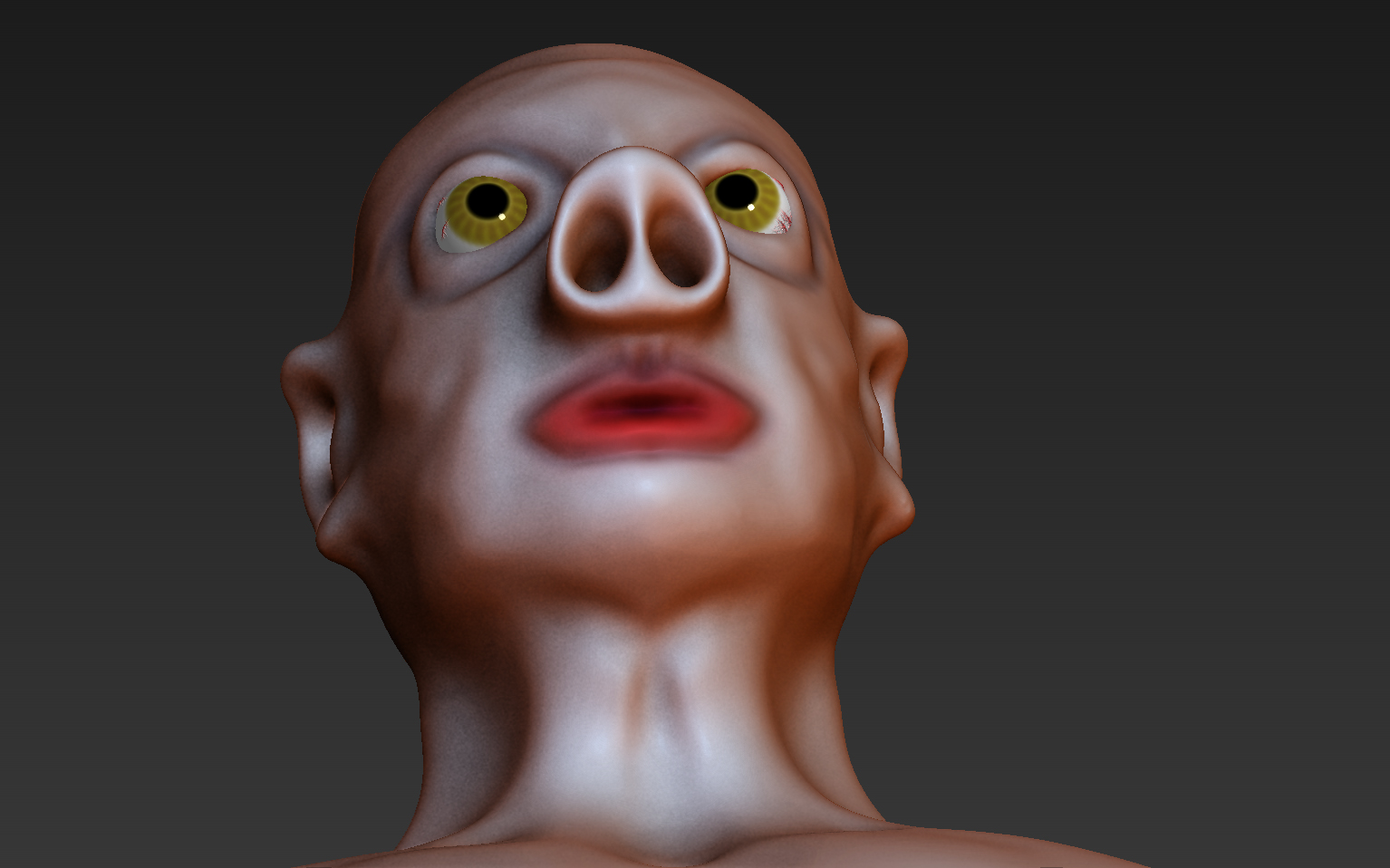 FreakyPig5.jpg