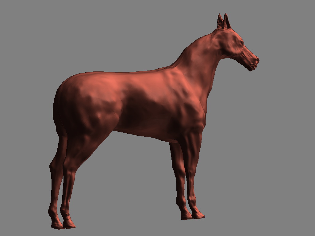 HORSE.jpg