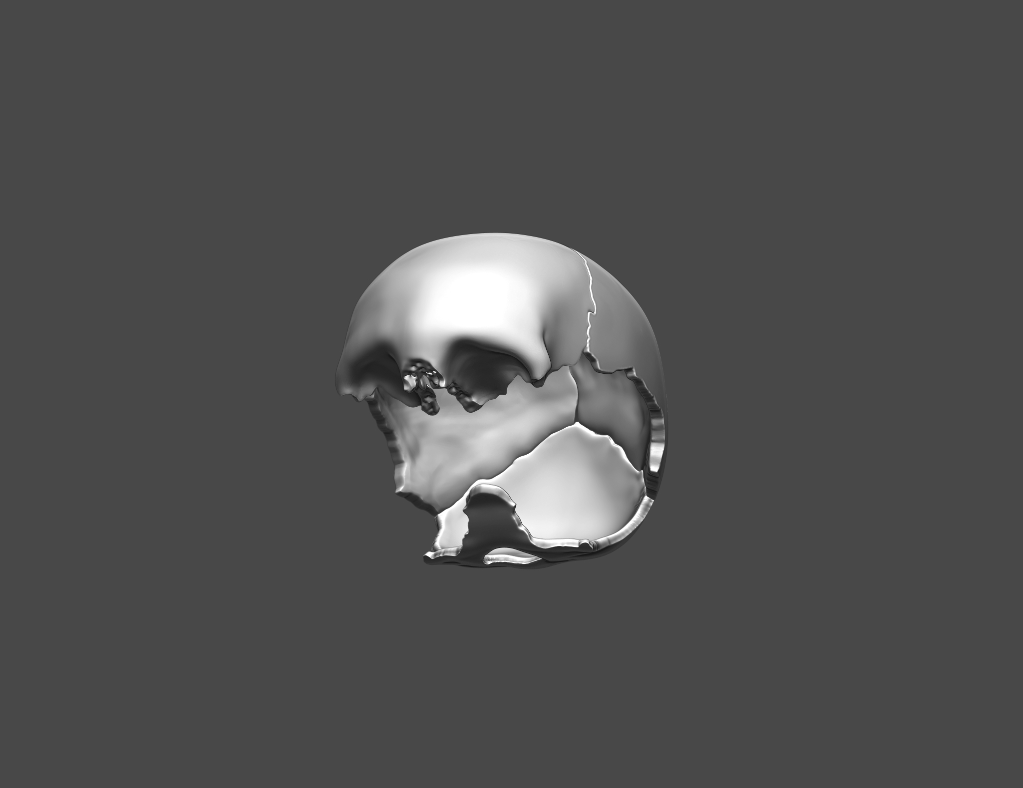 skull v23.jpg