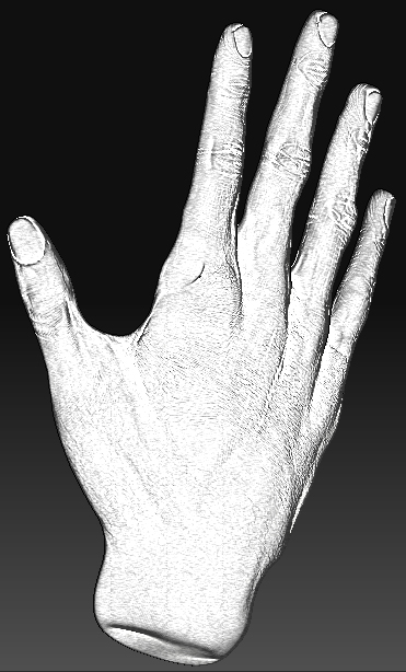 sketch hand 5.jpg