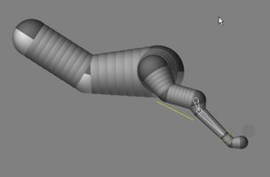 leon_y_cebra_wip (14).jpg