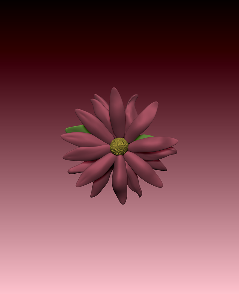 flower-echinacea4sm