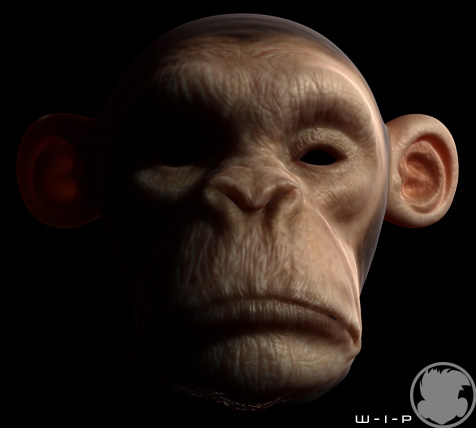 monkeyLightSide.jpg