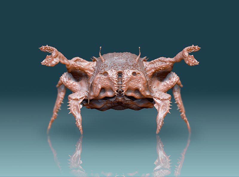 crab.jpg