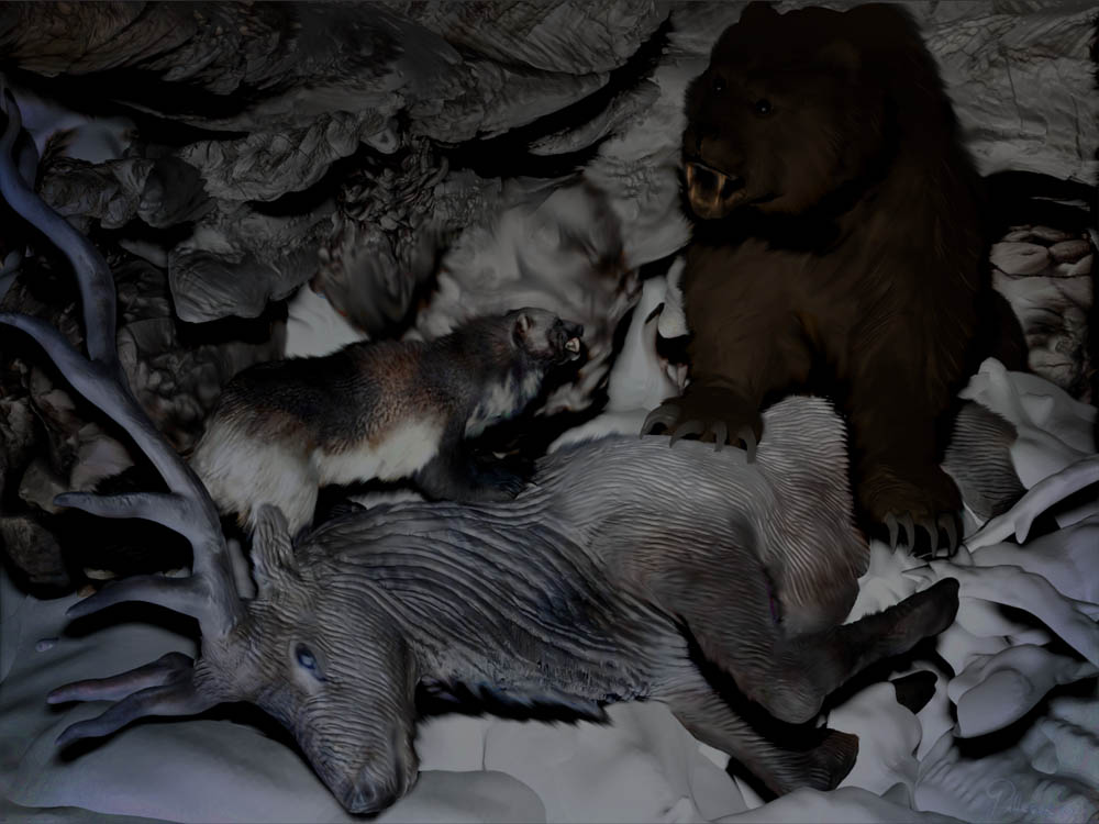 ELK FUR 56.jpg