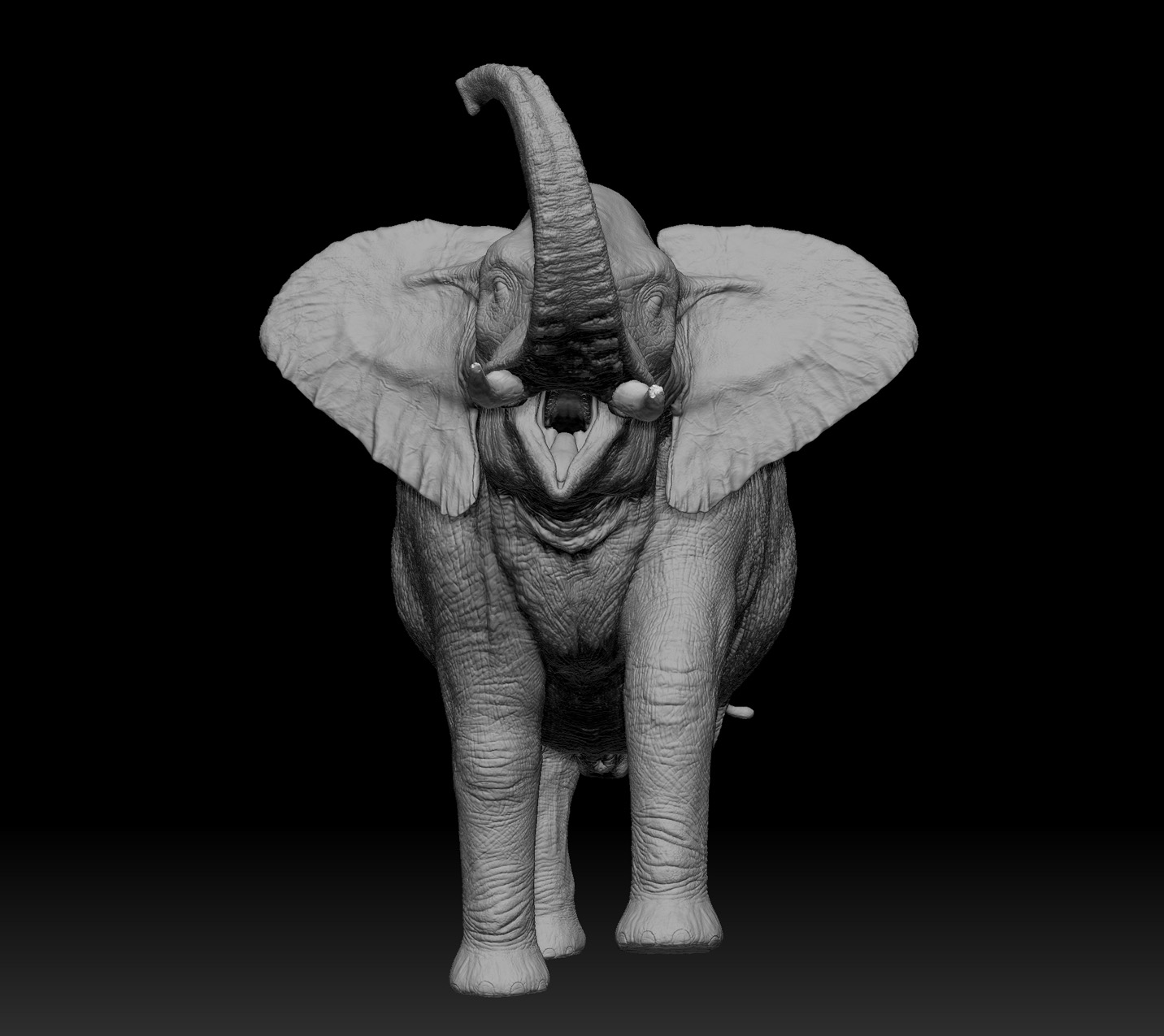 elephant_03.jpg