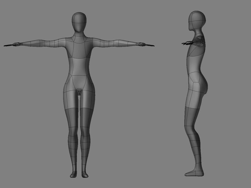 model.jpg