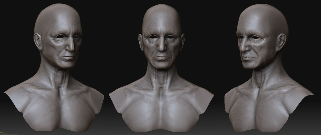 Final_wip_zbrush2.jpg