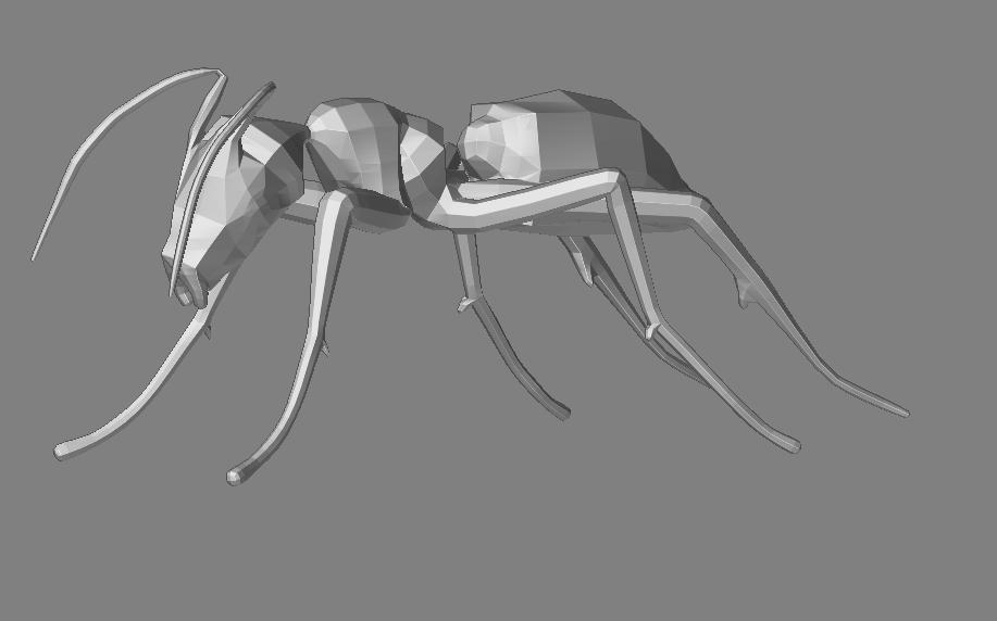 antmesh.JPG