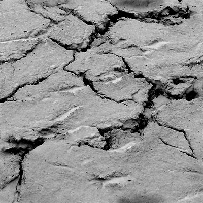crack3-a.jpg