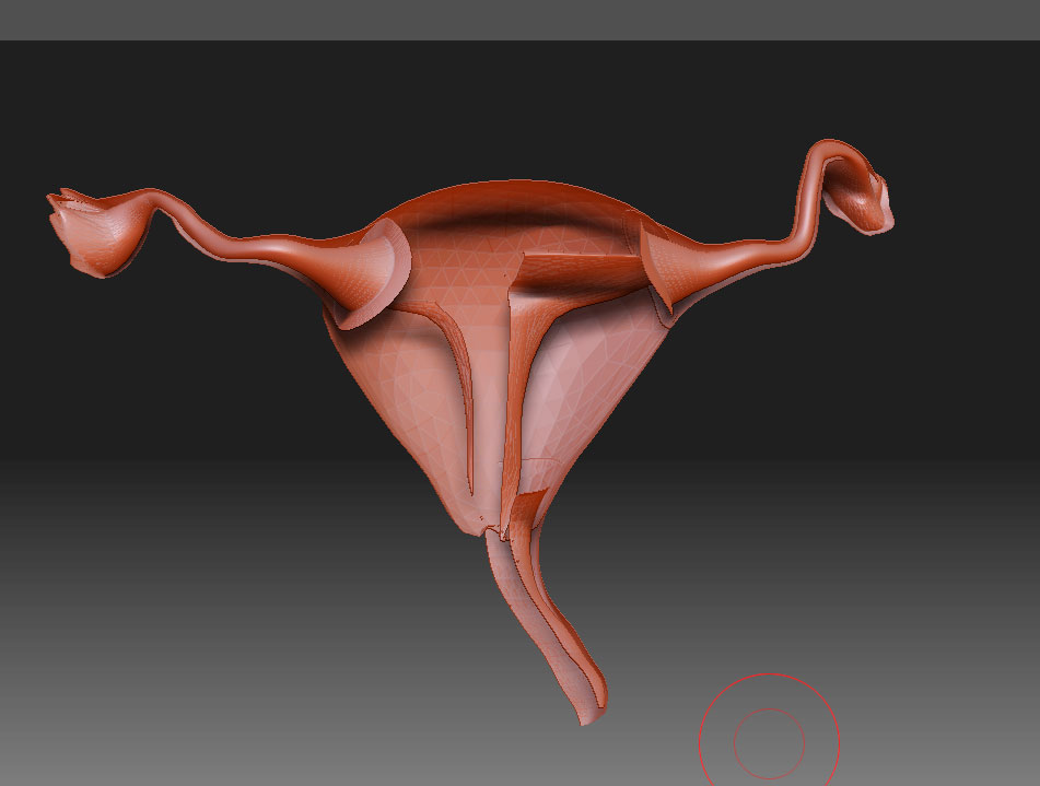 zbrush-problem.jpg