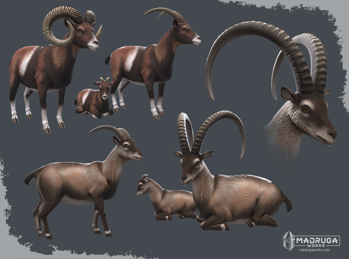 ibex
