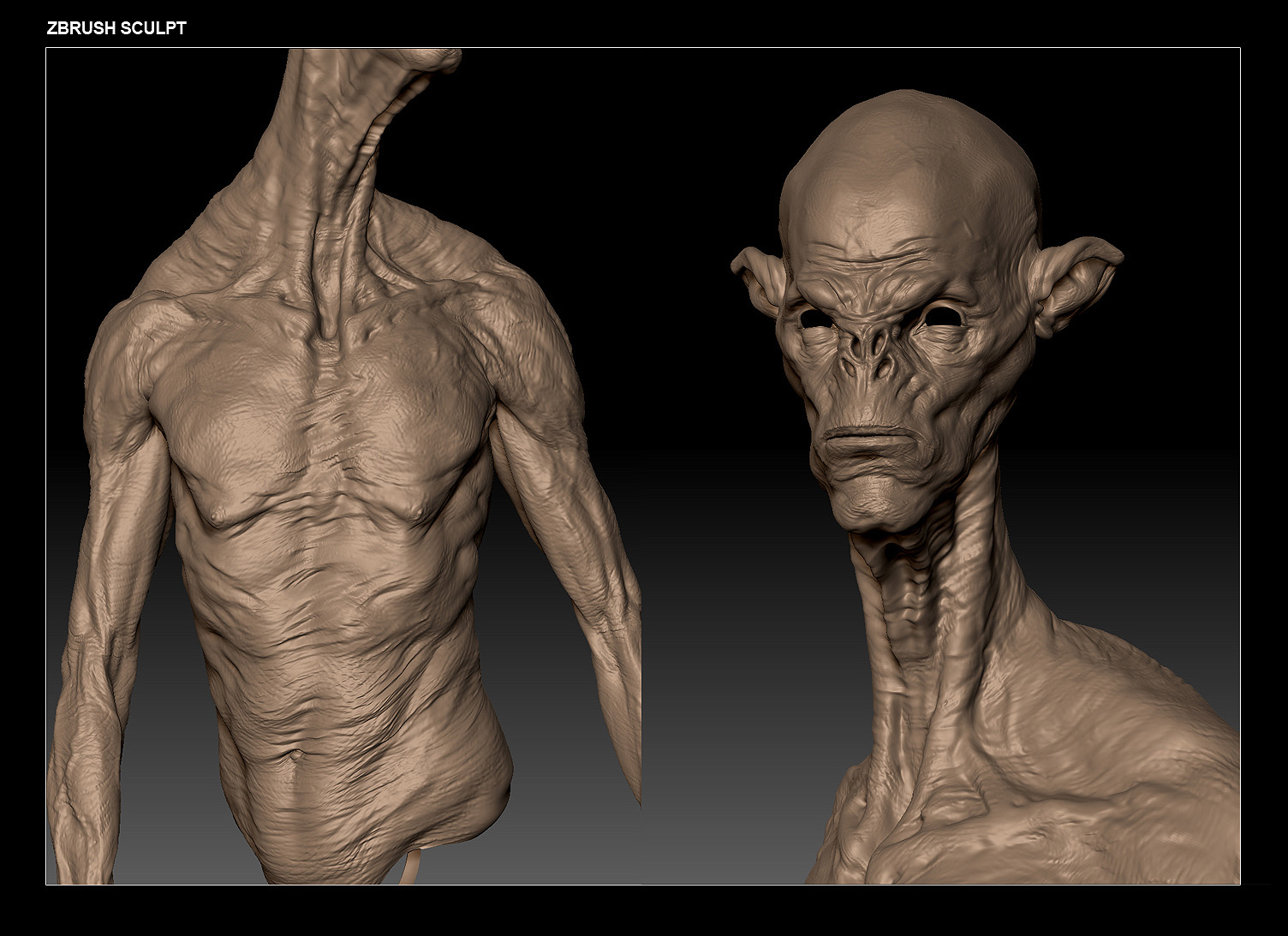 zbrushSCULPT2.jpg