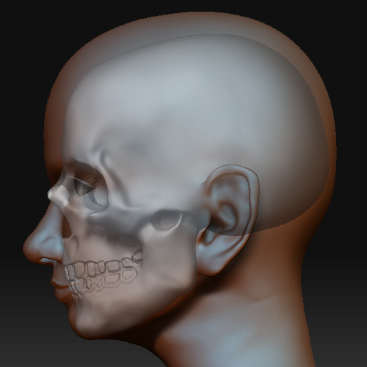 quinneskull.jpg