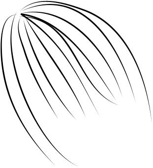 pelo.jpg