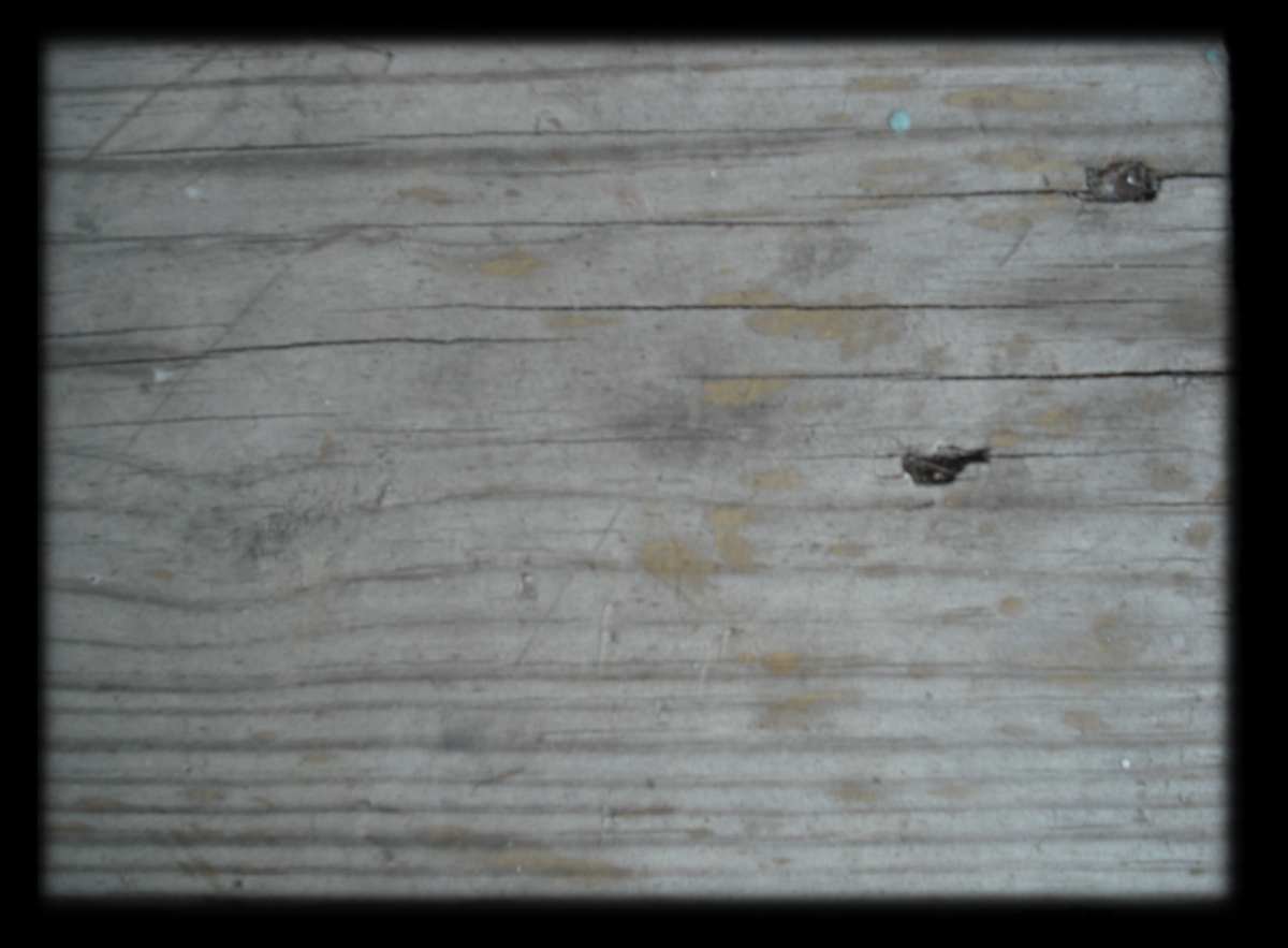 Wood_3 008.JPG