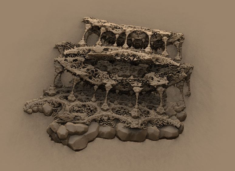3d2.JPG
