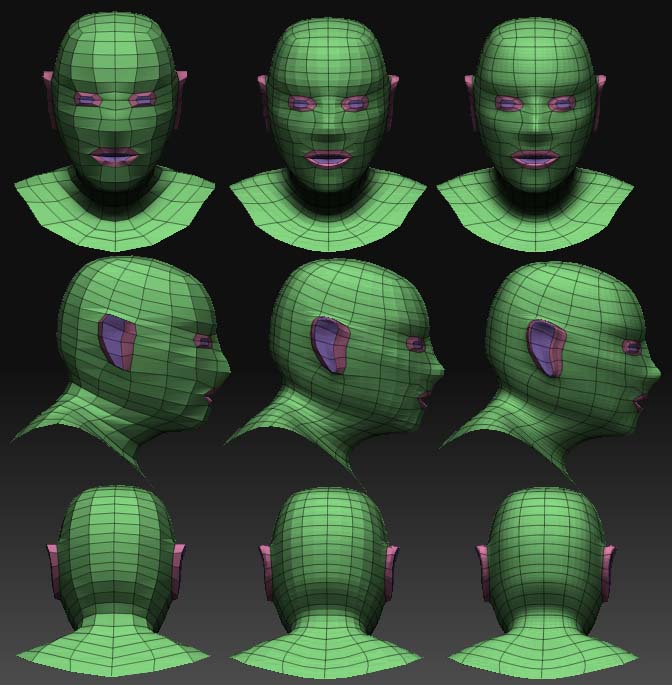 head_v2.jpg