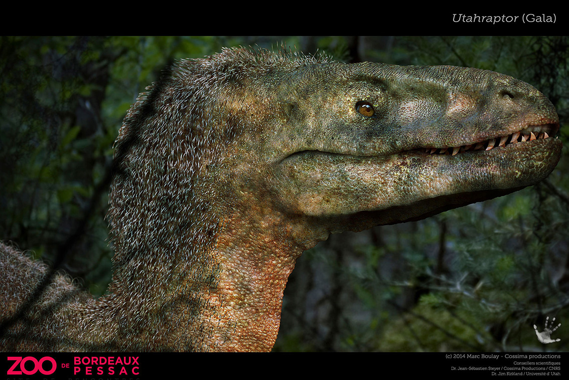 UTAHRAPTOR_GALA.jpg