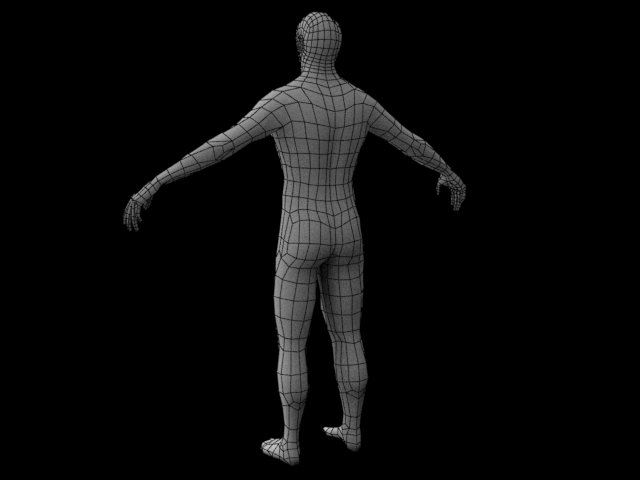 BackBody.jpg