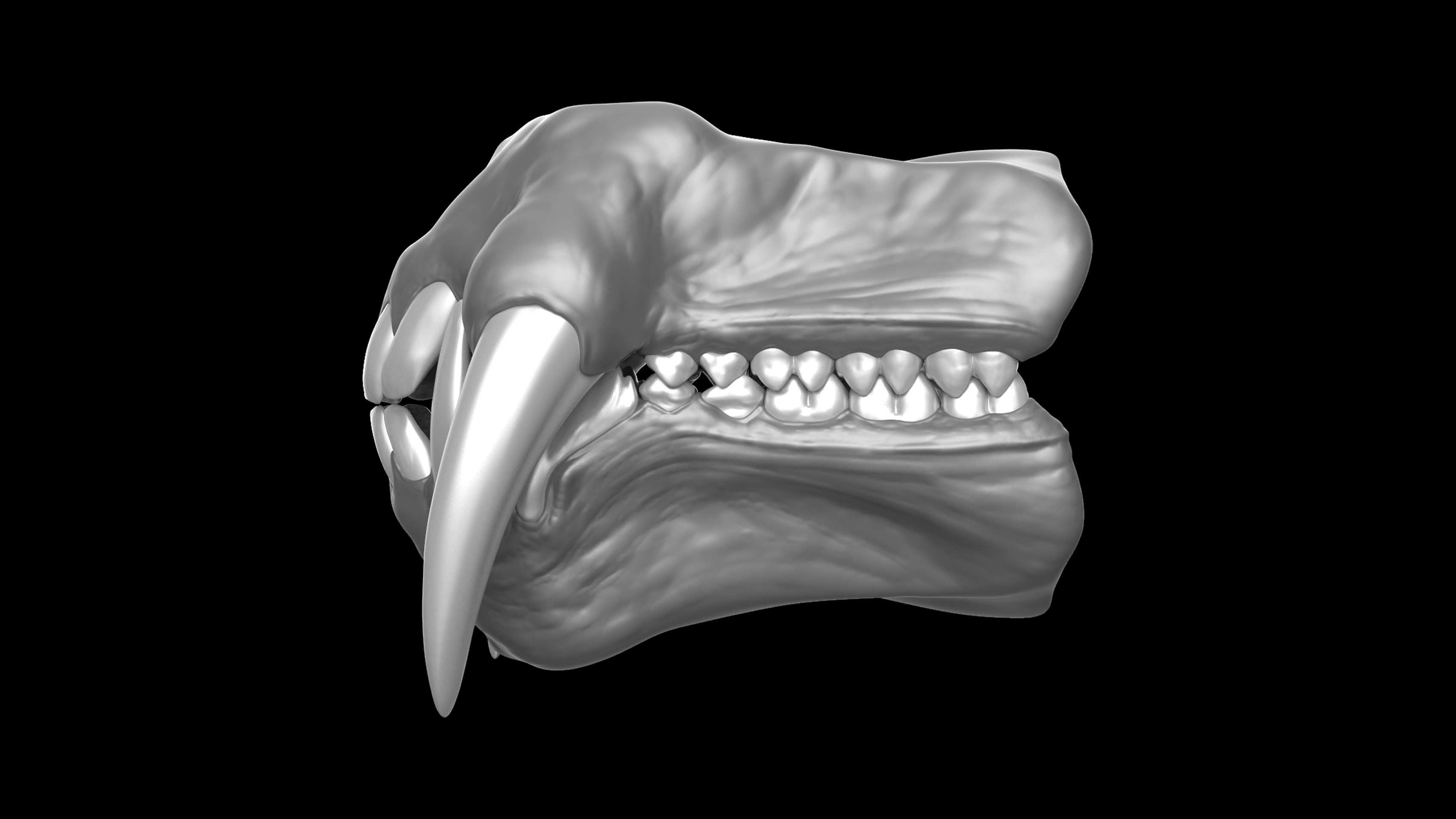 Teeth_Kits_Master_Views_Mandrill_03.jpg