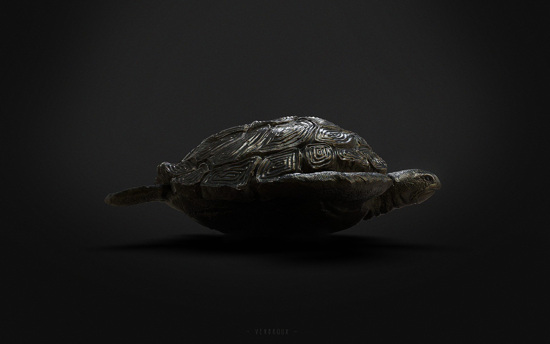 Composite_turtle01_S.jpg