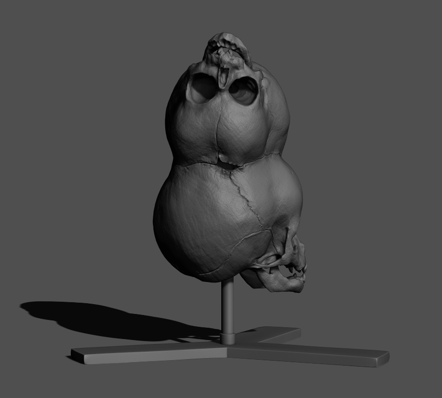 Boy-of-Bengal_Zbrush-03.jpg