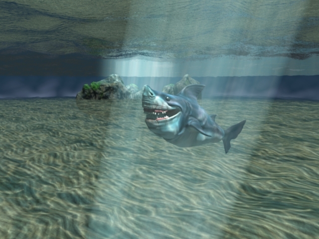 SharkWip10.jpg