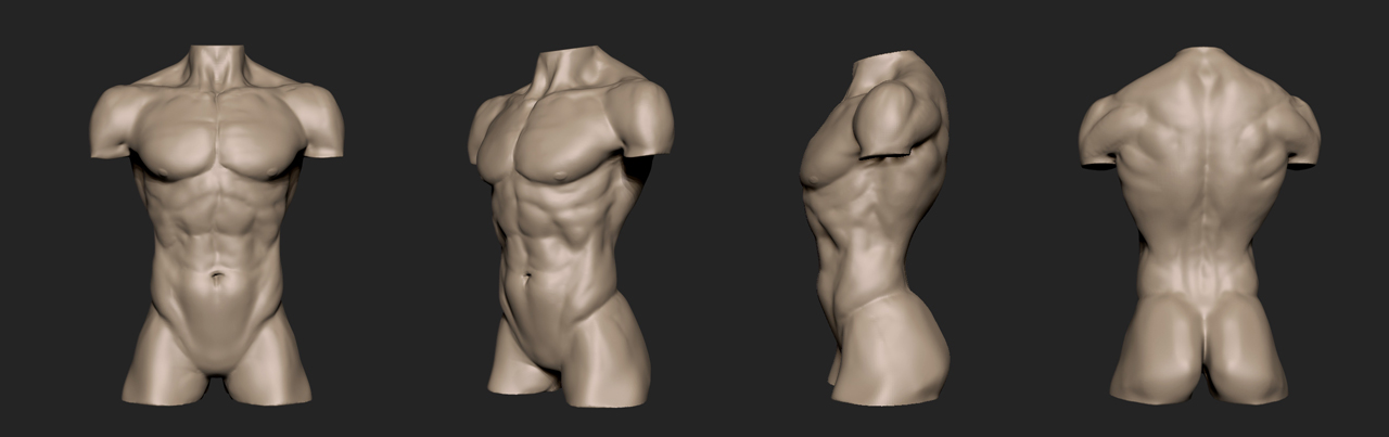 torso 5.jpg