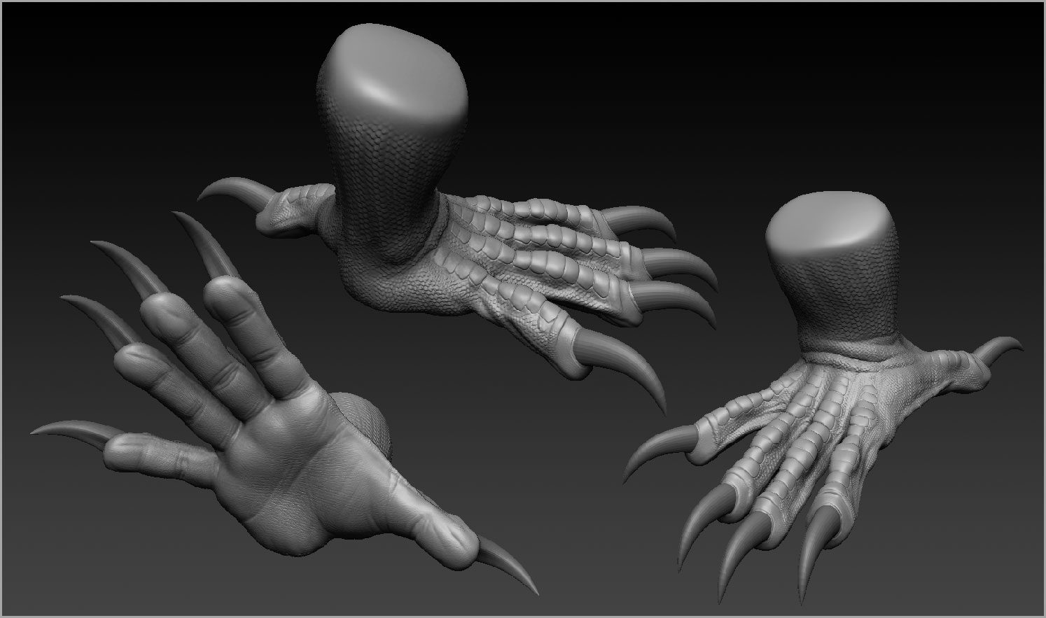 hand4.jpg