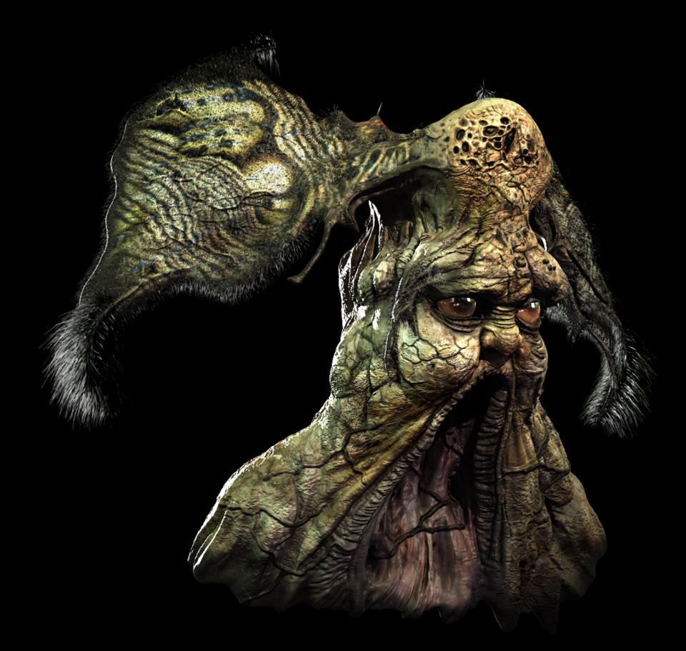 moth2.jpg